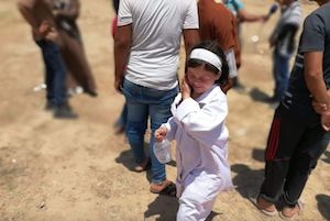 Malak. Image provided by Ramzy Baroud